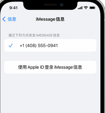 宿城apple维修iPhone上无法正常发送iMessage信息 