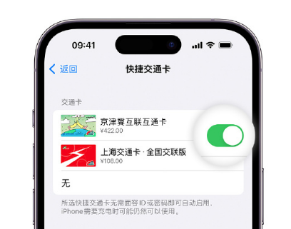 宿城apple维修点分享iPhone上更换Apple Pay快捷交通卡手绘卡面 