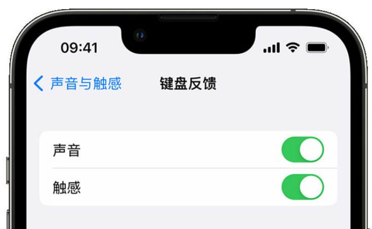 宿城苹果手机维修分享iPhone 14触感键盘使用方法 