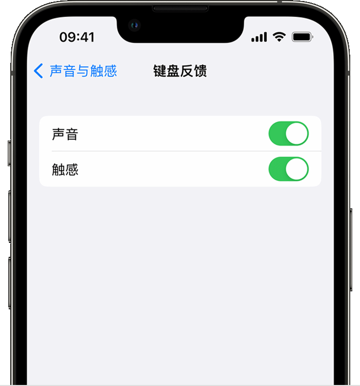 宿城苹果14维修店分享如何在 iPhone 14 机型中使用触感键盘 