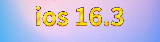 宿城苹果服务网点分享苹果iOS16.3升级反馈汇总 