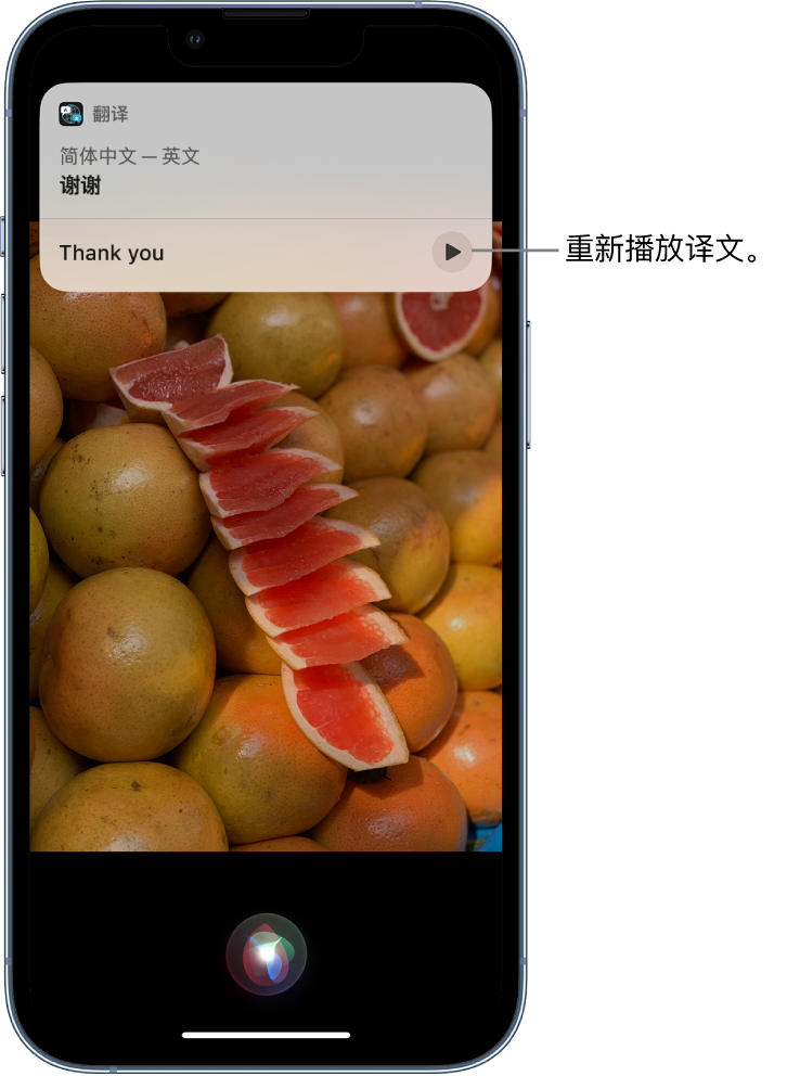 宿城苹果14维修分享 iPhone 14 机型中使用 Siri：了解 Siri 能帮你做什么 