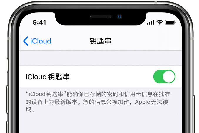 宿城苹果手机维修分享在 iPhone 上开启 iCloud 钥匙串之后会储存哪些信息 