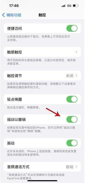 宿城苹果手机维修分享iPhone手机如何设置摇一摇删除文字 
