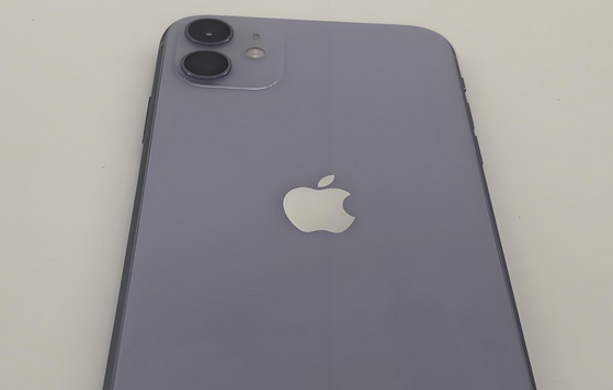宿城苹果11系统维修分享iPhone11手机系统崩溃无法开机如何解决